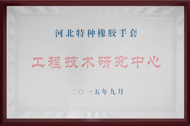 2015河北特殊ゴム手袋工程技術研究センター