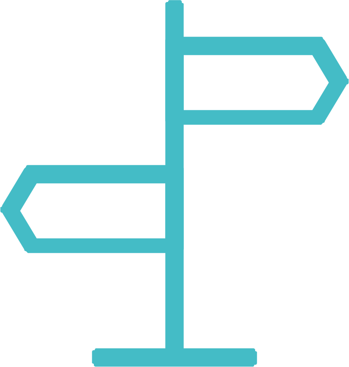 Development History