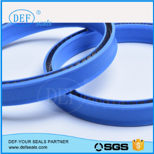 PTFE Spring Energized Seal for Food, Beverage, Medical, Pump, Hydraulic