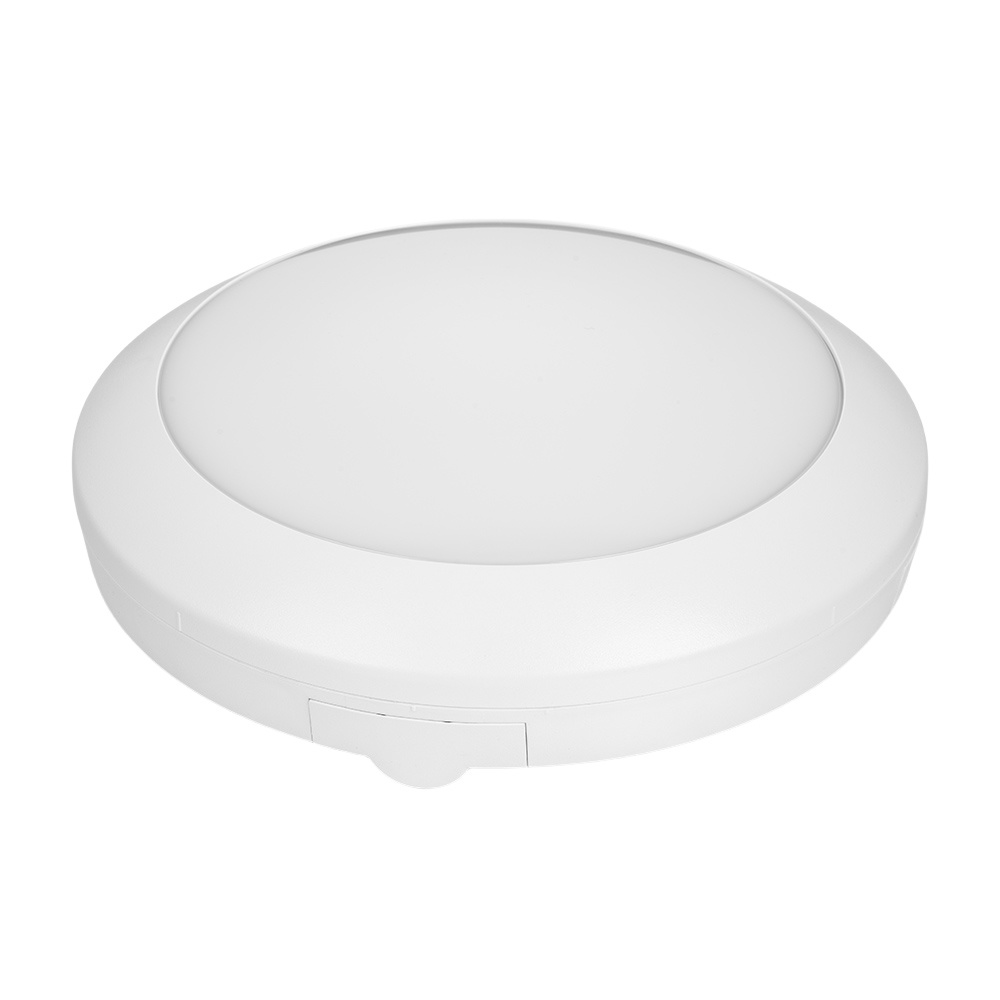 Ceiling Light