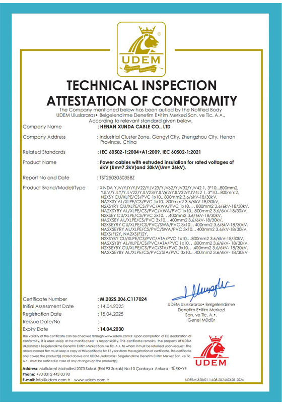 TECHNICAL INSPECTION
