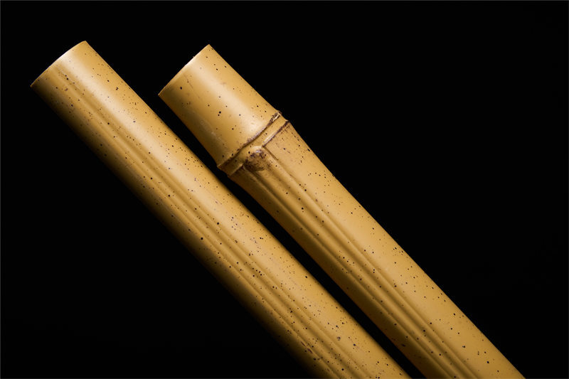 New long bamboo pole development