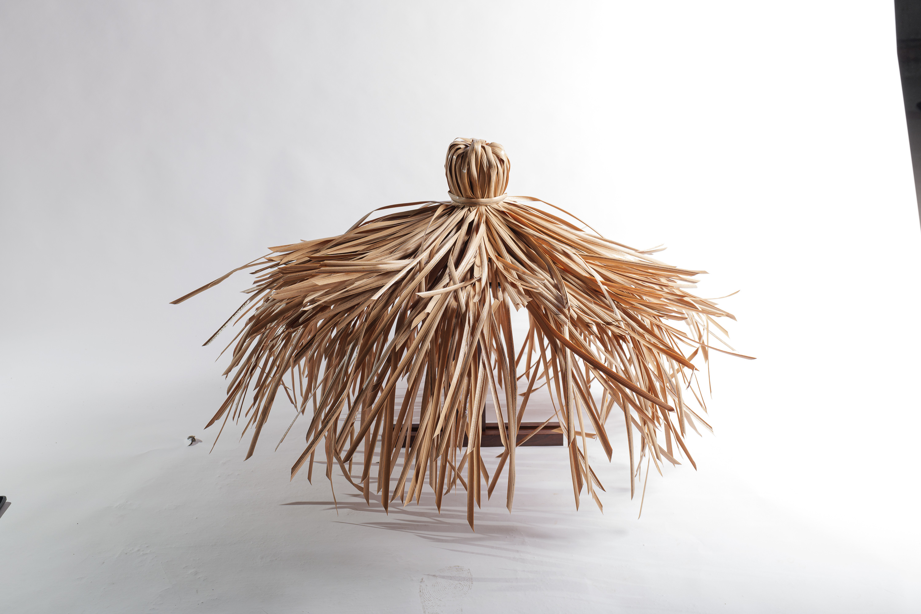 Thatched Umbrella Dome