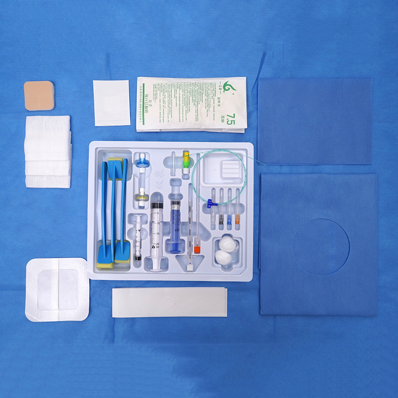 Single Use Anesthesia Puncture Kit AS-E SII (Spinal Epidural Combined Kit) Flexible Type