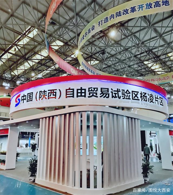 四肖三期必开一期