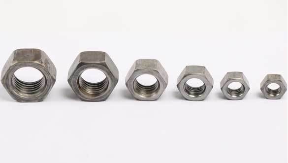 Plain Hex Nut