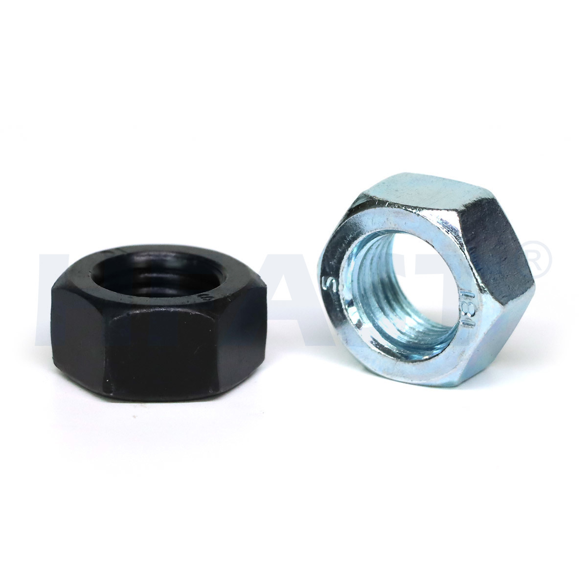 Hex Nut