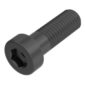 Hex Socket Head Bolt