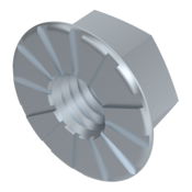 Hex Flange Nut