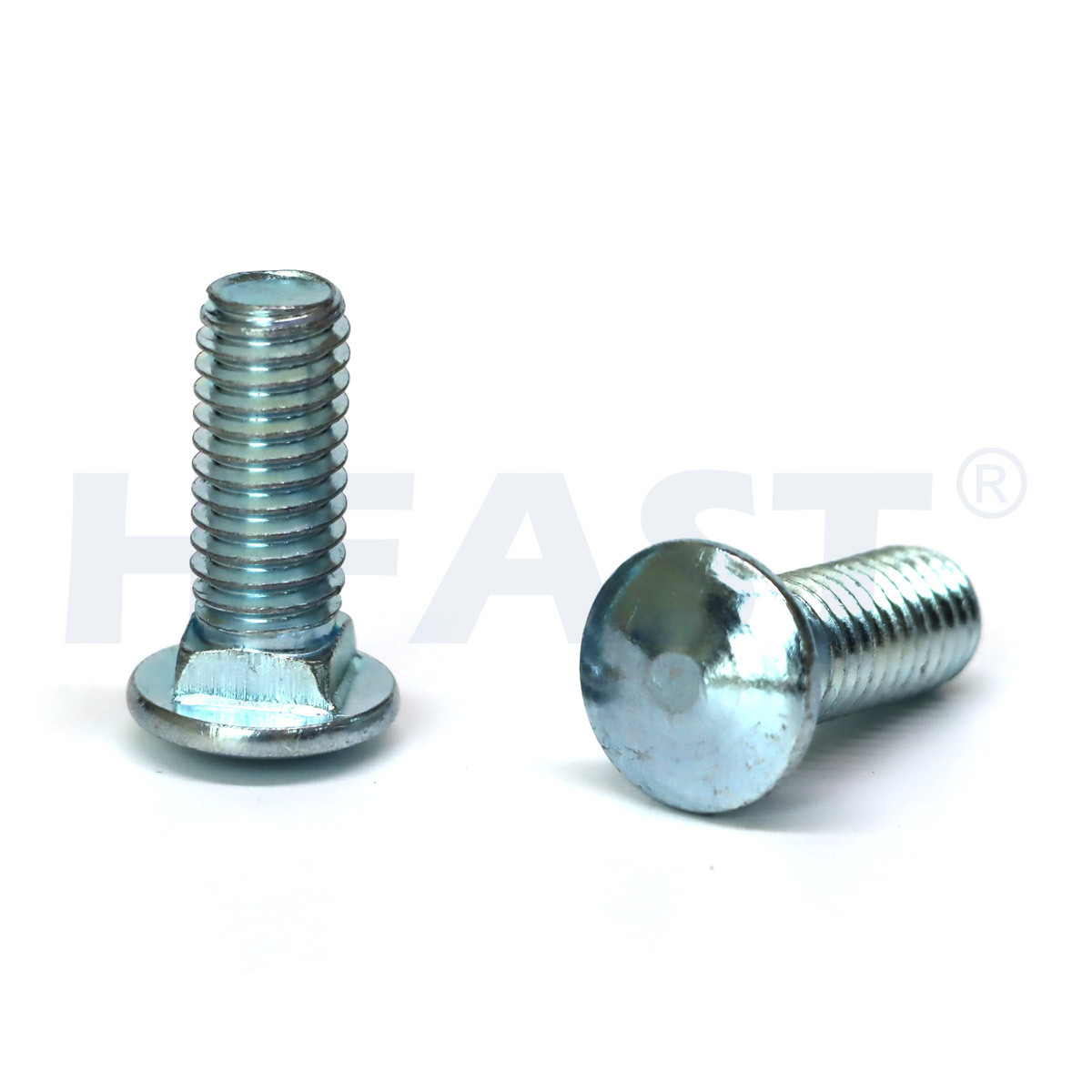 Carriage Bolt