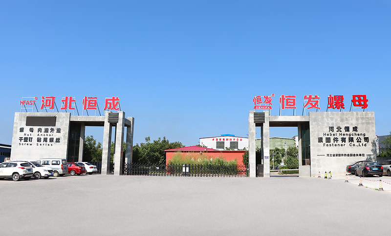 视频标题