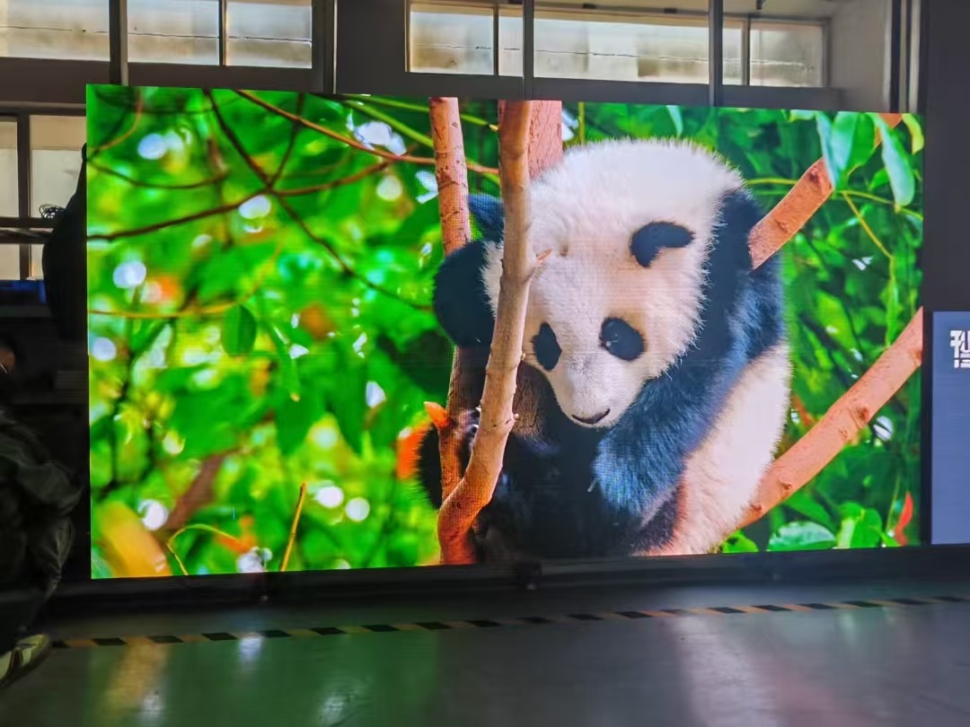 图片名称