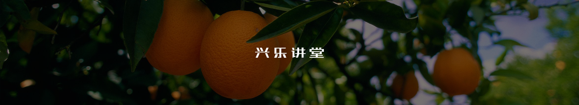 瀏陽市興樂農(nóng)業(yè)科技開發(fā)有限公司