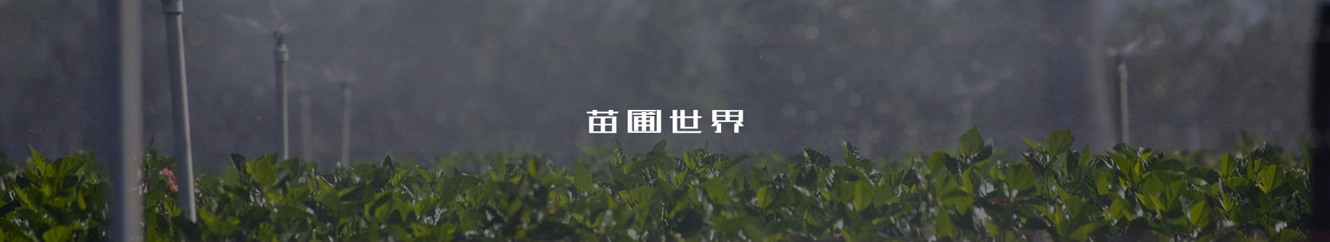 瀏陽市興樂農(nóng)業(yè)科技開發(fā)有限公司