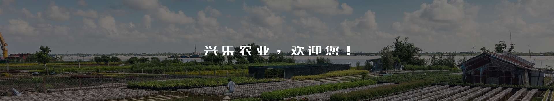 瀏陽市興樂農業(yè)科技開發(fā)有限公司