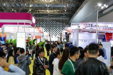 2019 China (Shanghai) International Amusement Rides and Equipment Expo 2019 China (Shanghai) International Amusement Rides and Equipment Expo