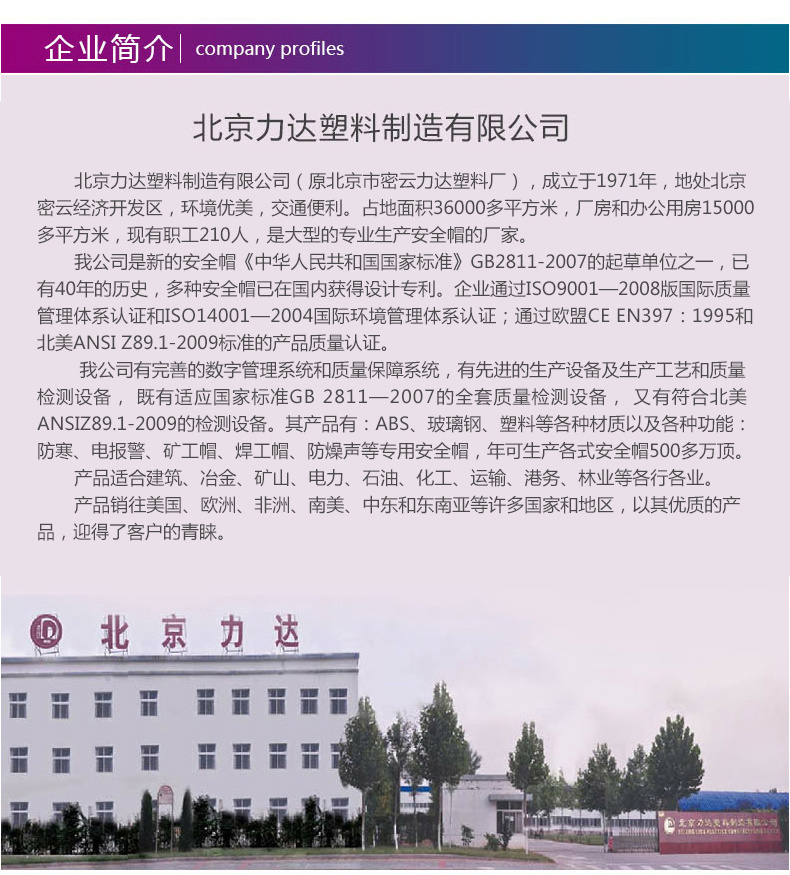 北京力达ABS高性能 leyu·乐鱼（中国）官方网站 施工防砸建筑劳保安全头盔