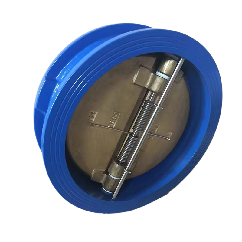 Disc check valve