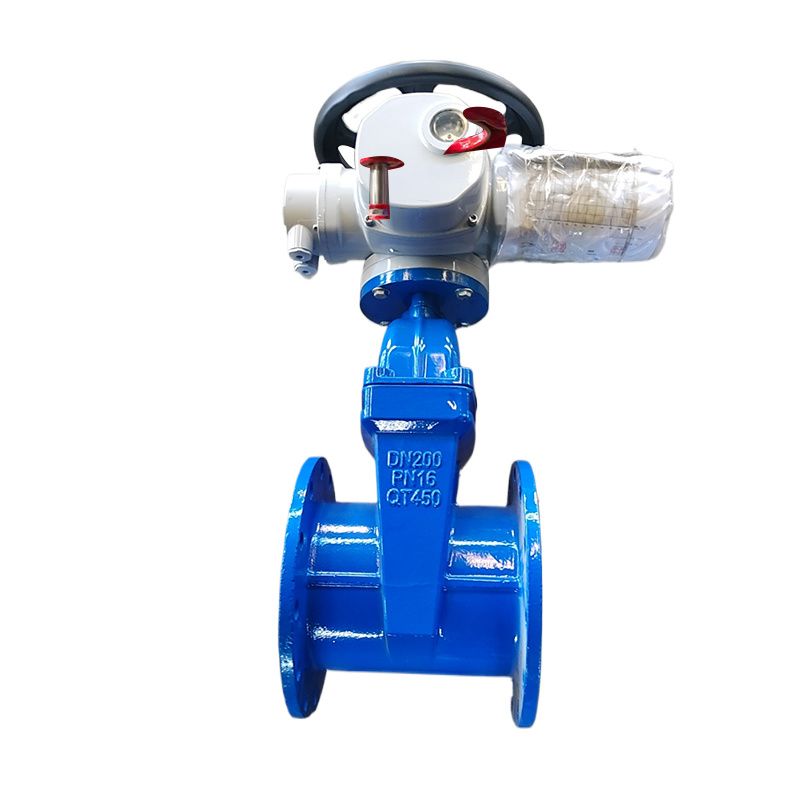 Dark Rod Flange Gate Valve