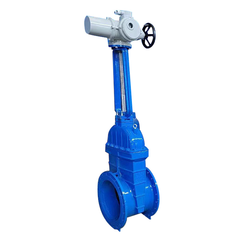 Electric Gate Valve Ringbar