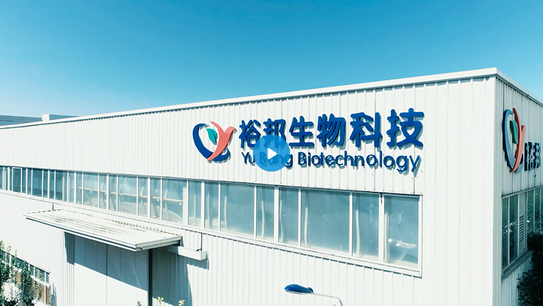 视频标题