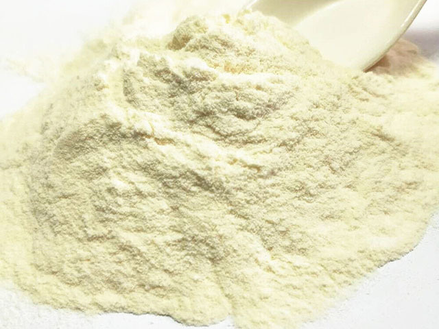 蛋白食品原料