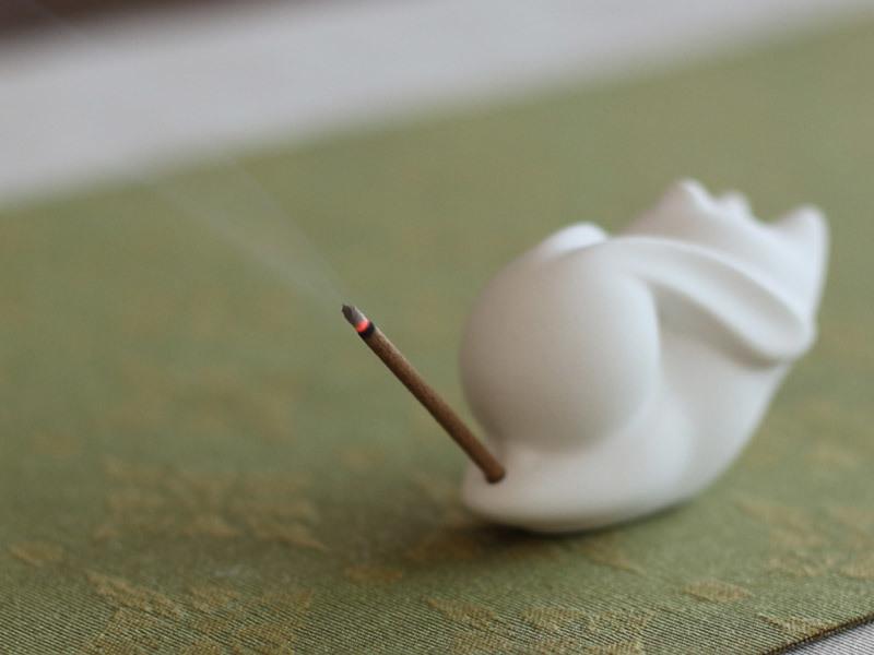 What can a beautiful fragrance plug bring？