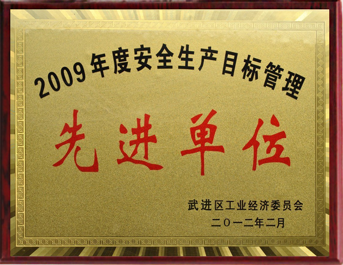 先進(jìn)單位-2009年 先進(jìn)單位-2009年