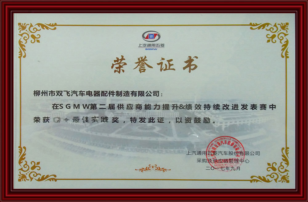 2017Q+ Best Practice Award Medal 2017Q+ Best Practice Award Medal