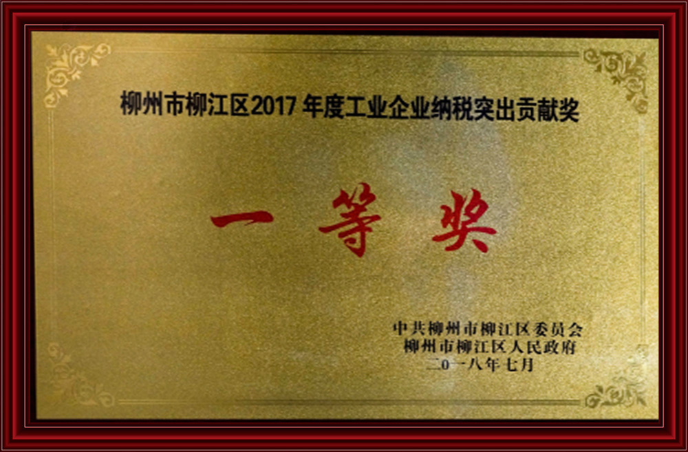 First Prize for Outstanding Contribution to Industrial Enterprise Taxation in 2017 First Prize for Outstanding Contribution to Industrial Enterprise Taxation in 2017