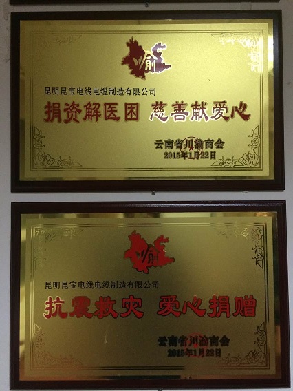 公司所获荣誉