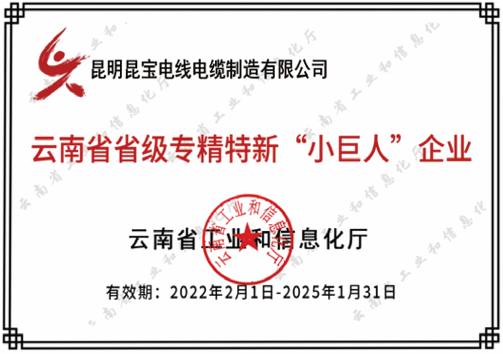 云南省省级专精特新“小巨人”企业