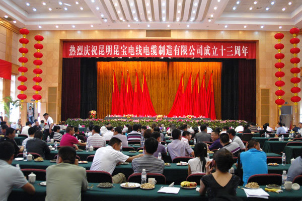 热烈庆祝我公司成立十三周年