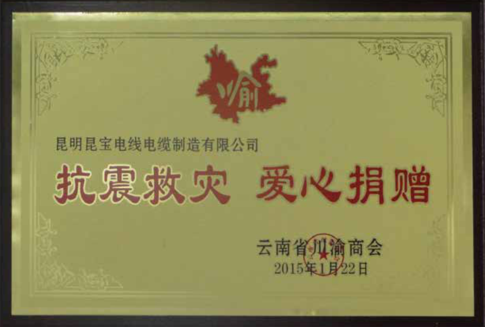 抗震救災(zāi)、愛心捐贈(zèng)
