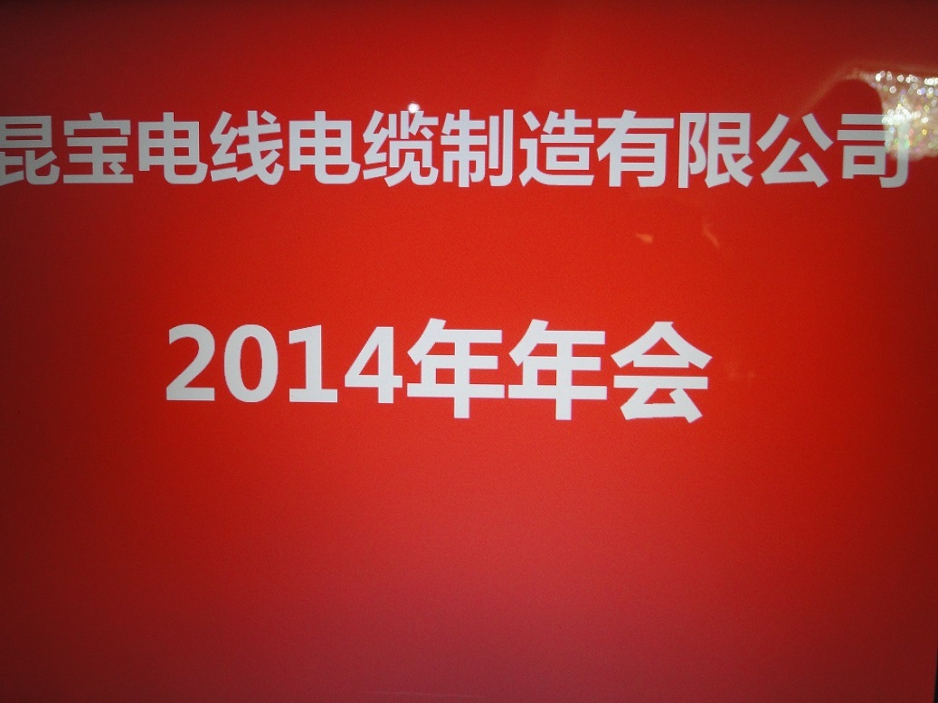 2014年度年终总结会