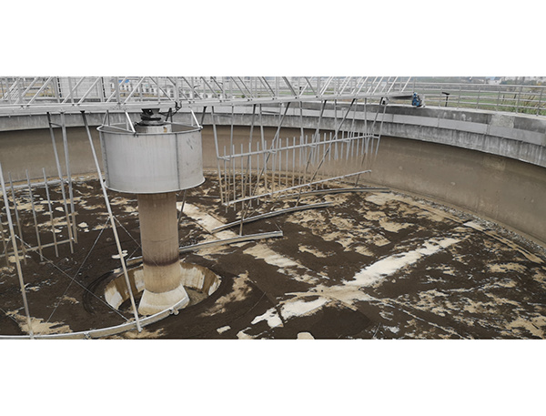 XZBG, XNBS, and XNG peripheral drive sludge scrapers and thickeners