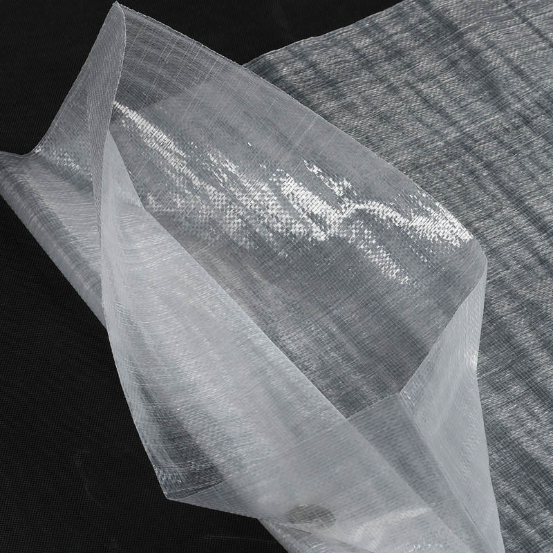 Transparent bag Transparent bag