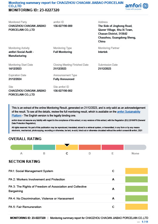 BSCI-report-2024