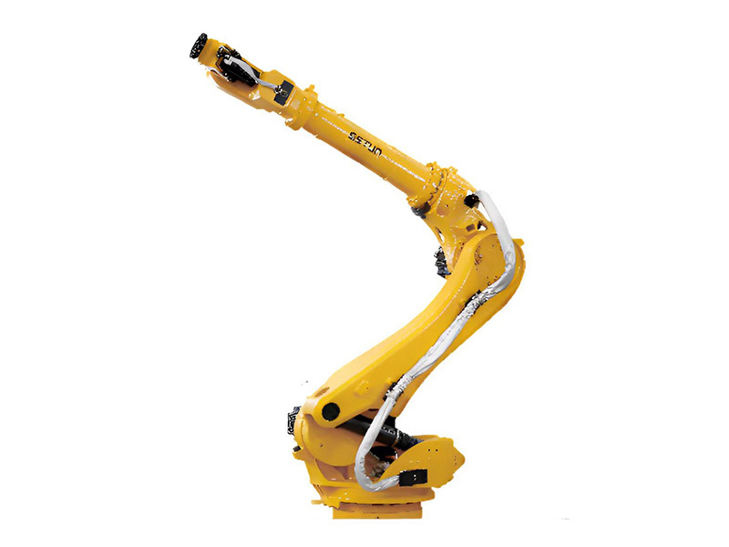 Palletising Robot (Exton )