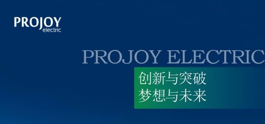 PROJOY‘s Year in Review 2024