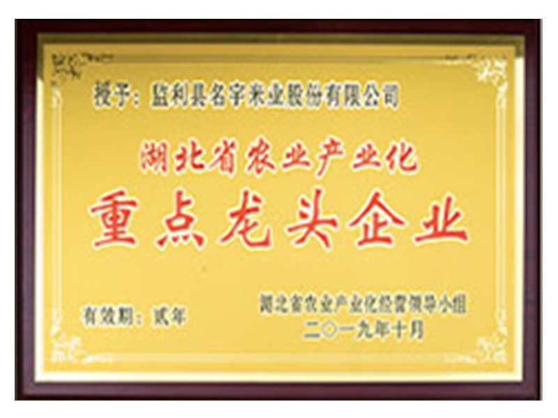 重點(diǎn)龍頭企業(yè)