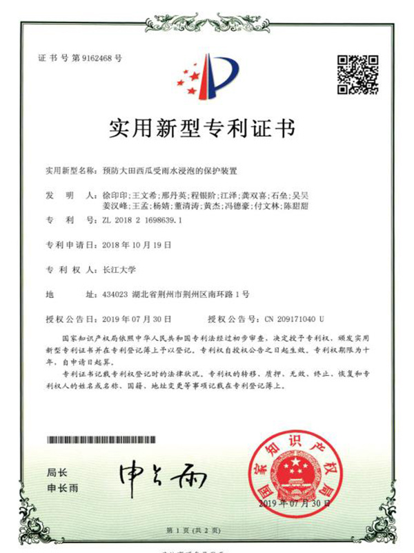 預(yù)防大田西瓜受雨水浸泡的保護(hù)裝置