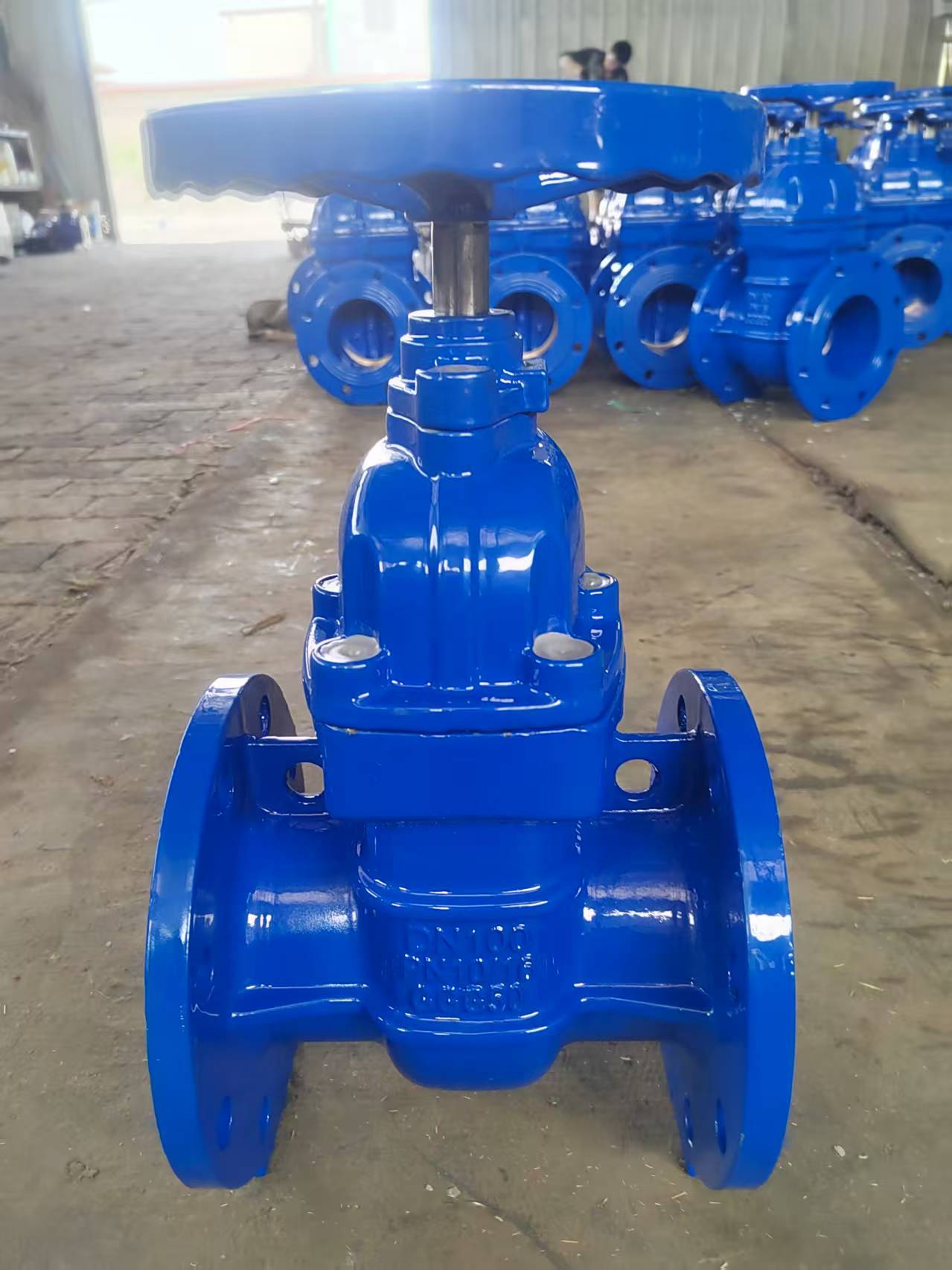Comprehensively analyze the functions and characteristics of protective gate valves