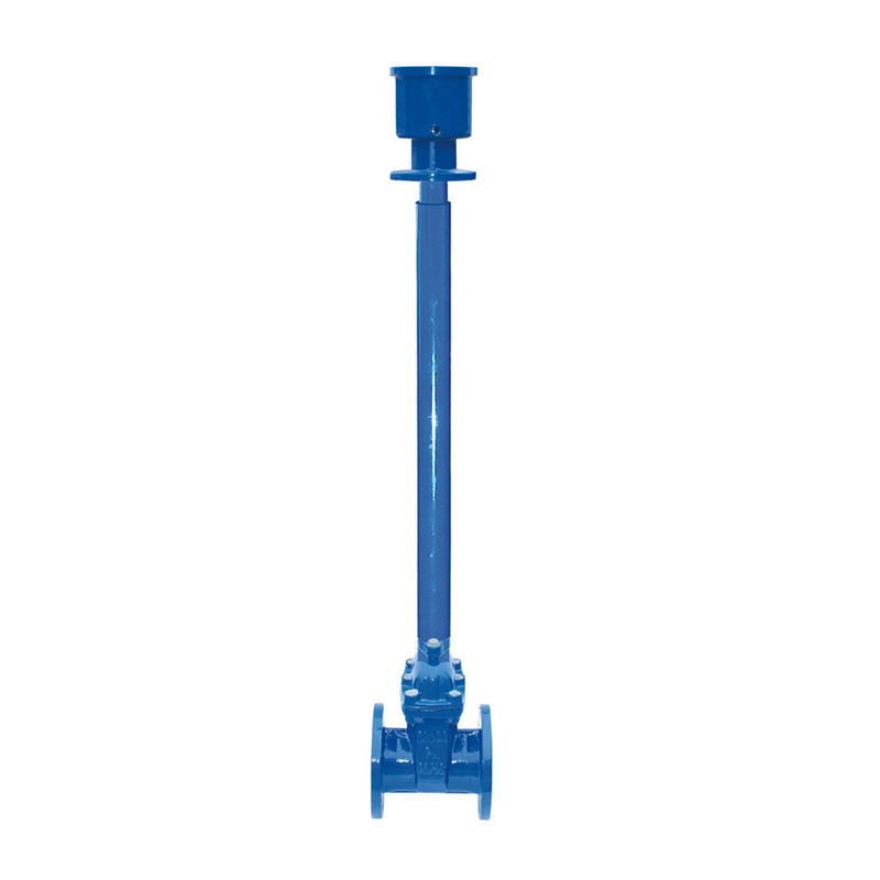 Extension rod gate valve