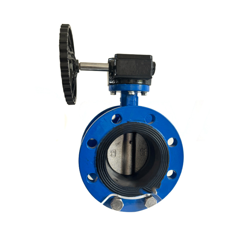 Flanged butterfly valve