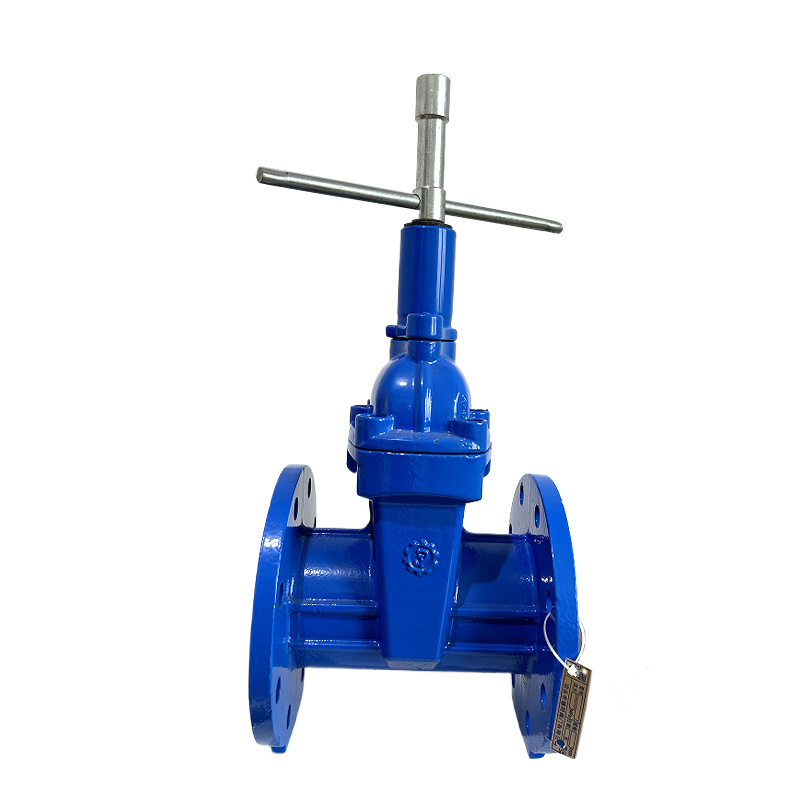 Features and advantages of rubber flap check valve