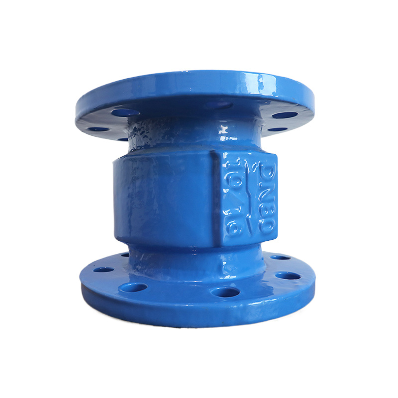 Muffler check valve