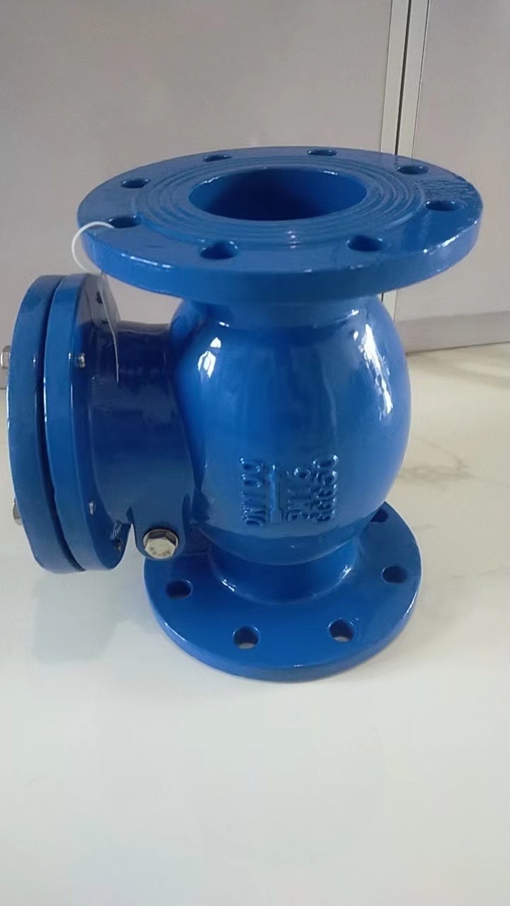 swing check valve