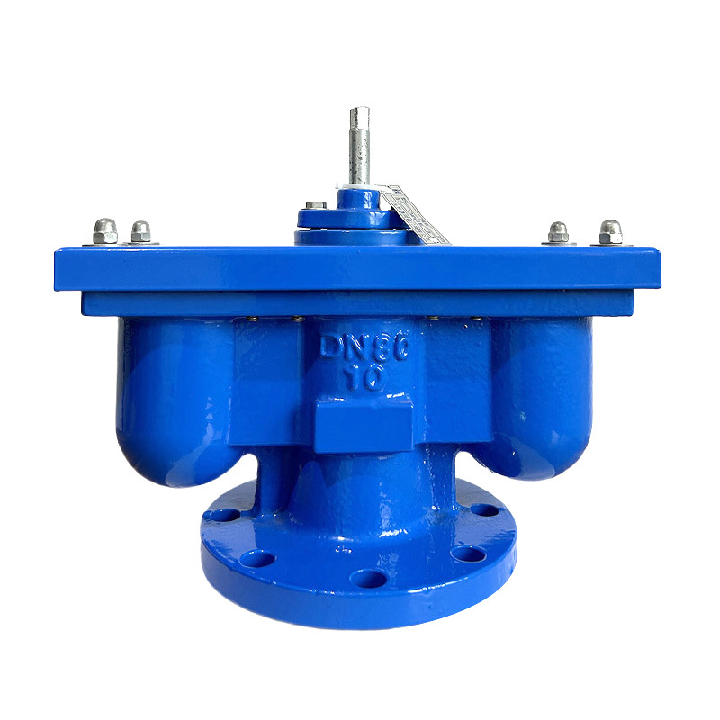 Double-port air release valve