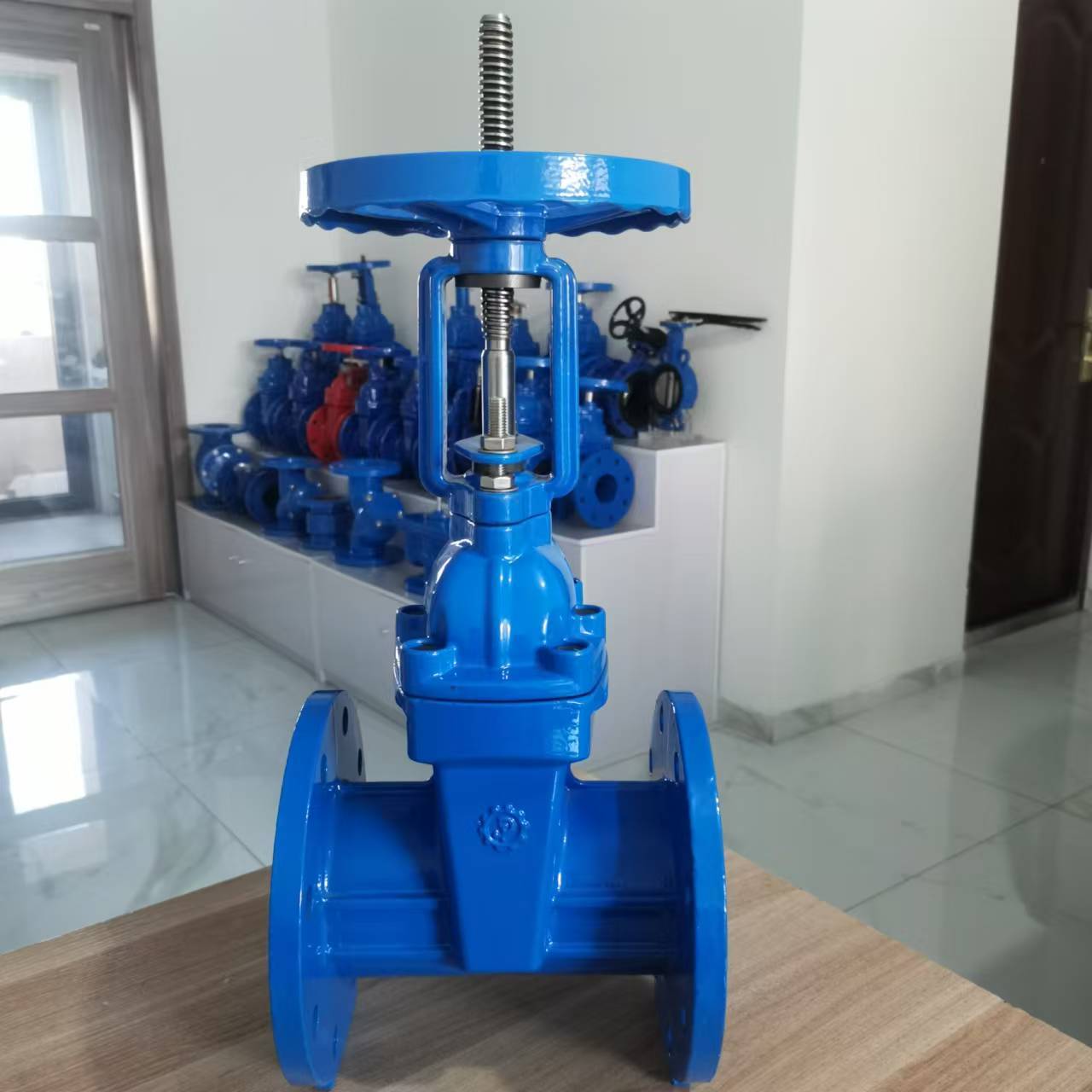 Discussion on the Basic Requirements and Structural Characteristics of Bright stem Elastic Seat Sealing Gate Valve